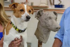 Norman, the dog of Simon Pagenaud, Team Penske

