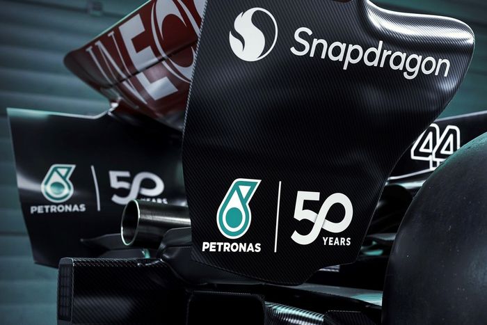 Pintura especial Mercedes W15 
