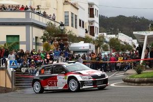 Nikolay Gryazin, Yaroslav Fedorov, Skoda Fabia R5