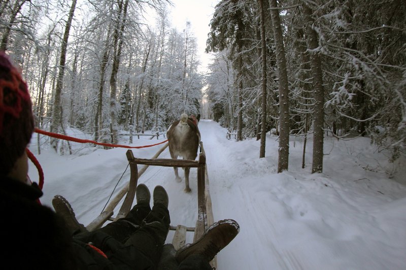 Arctic Lapland Rally 2020