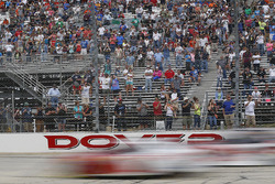 Dover logo