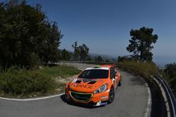Simone Campedelli e Danilo Fappani, Peugeot 208 T16 #9