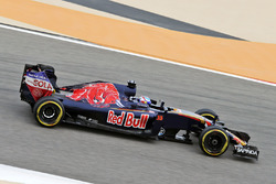 Max Verstappen, Scuderia Toro Rosso STR11