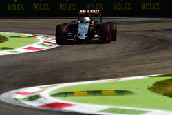 Alfonso Celis Jr., Sahara Force India F1 VJM09 piloto de desarrollo