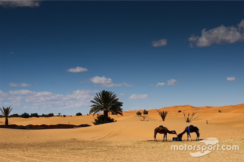 Preparativos Rally Merzouga 2018