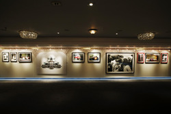 A gallery featuring work by Giorgio Piola, Rainer Schlegelmilch, LAT and Sutton Images