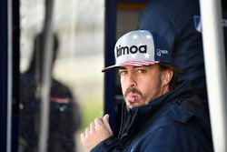 Fernando Alonso, United Autosports