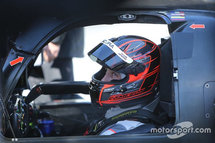 Dane Cameron, Team Penske