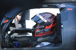 Dane Cameron, Team Penske