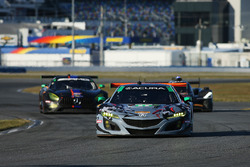 #86 Michael Shank Racing Acura NSX: Katherine Legge, Alvaro Parente, Trent Hindman, A.J. Allmendinger