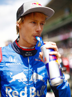 Брендон Хартли, Scuderia Toro Rosso