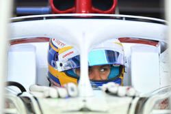 Marcus Ericsson, Sauber C37