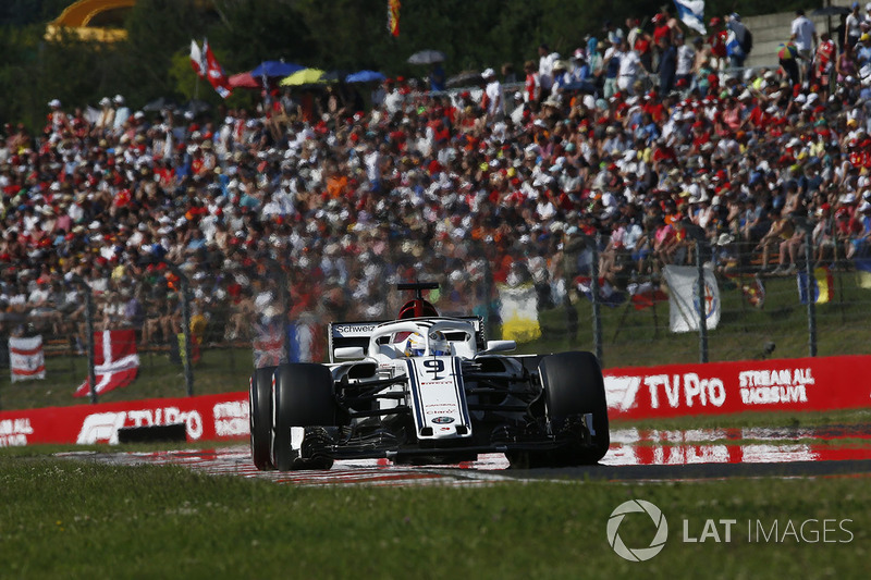 Marcus Ericsson, Sauber C37