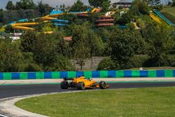 Fernando Alonso, McLaren MCL33