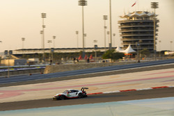 #91 Porsche Team Porsche 911 RSR: Richard Lietz, Frédéric Makowiecki