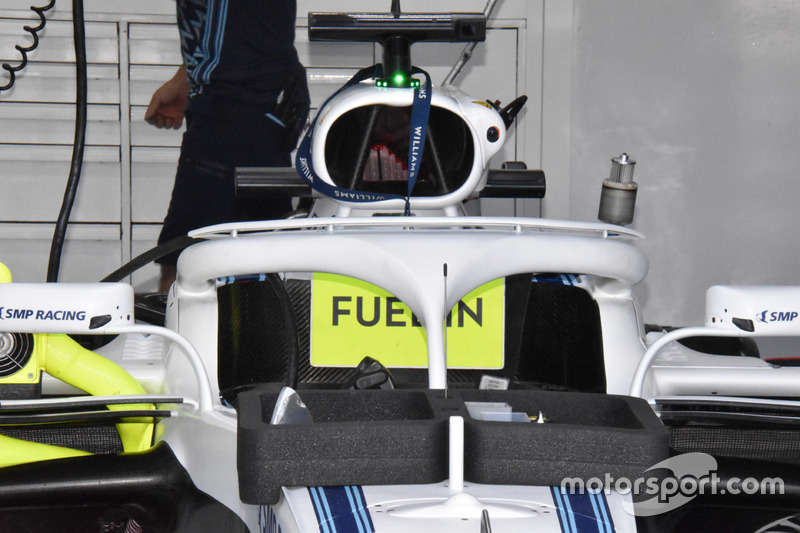 Detail halo Williams FW41