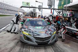 #86 Michael Shank Racing Acura NSX, GTD: Katherine Legge, Alvaro Parente, Trent Hindman, A.J. Allmen