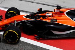 Stoffel Vandoorne, McLaren MCL32