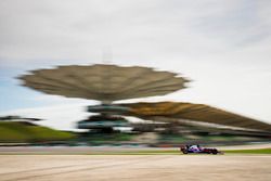 Pierre Gasly, Scuderia Toro Rosso STR12