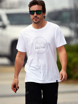 Fernando Alonso, McLaren