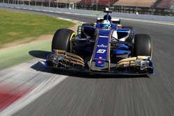 Marcus Ericsson, Sauber C36