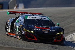 #93 Michael Shank Racing Acura NSX: Andy Lally, Katherine Legge