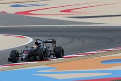 Stoffel Vandoorne, McLaren MP4-31