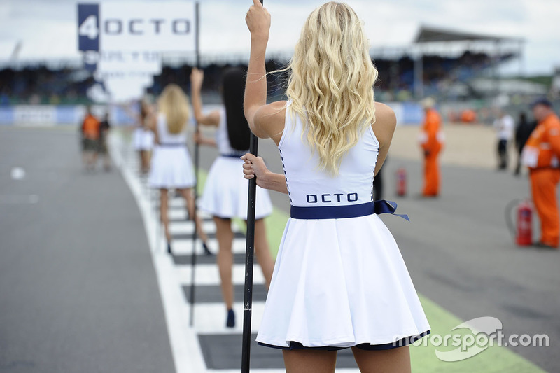 Lovely grid girl