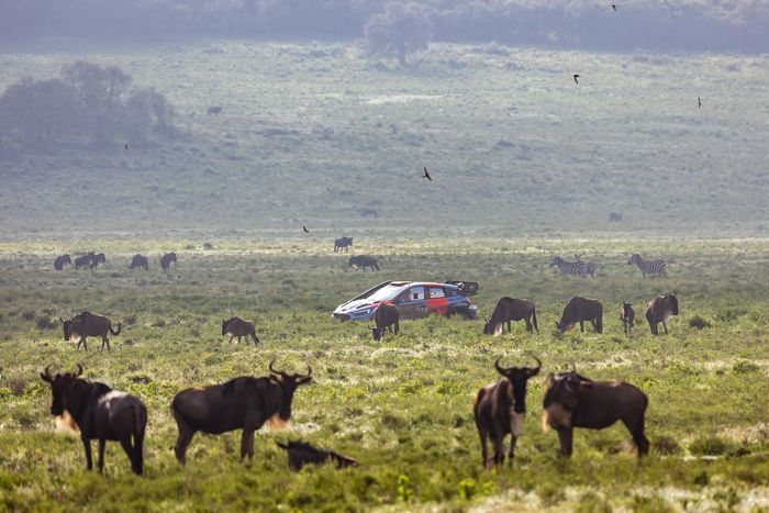Thierry Neuville, Martijn Wydaeghe, Hyundai World Rally Team Hyundai i20 N Rally1