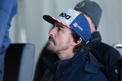 Fernando Alonso, United Autosports