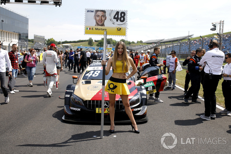 Grid girl of Edoardo Mortara, Mercedes-AMG Team HWA