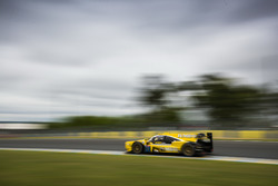 #29 Racing Team Nederland Dallara P217: Frits van Eerd, Giedo van der Garde, Jan Lammers