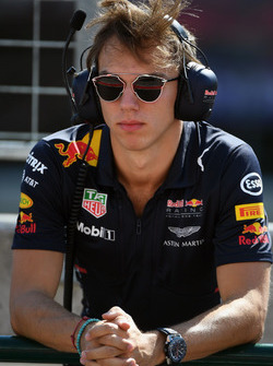 Pierre Gasly, pilote d'essais Red Bull Racing