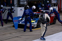 #67 Ford Chip Ganassi Racing Ford GT: Andy Priaulx, Harry Tincknell, Pipo Derani