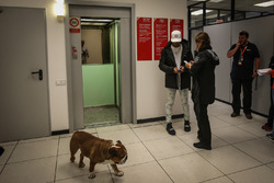 Lewis Hamilton, Mercedes AMG F1, his dog Roscoe