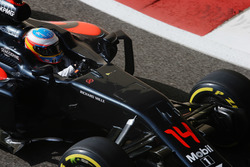 Fernando Alonso, McLaren