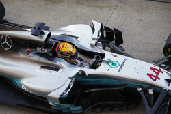 Lewis Hamilton, Mercedes AMG F1 W08, race winner