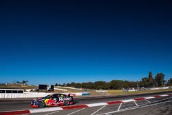 Jamie Whincup, Triple Eight Race Engineering Holden