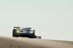 #67 Ford Chip Ganassi Racing Team UK Ford GT: Andy Priaulx, Harry Tincknell