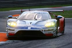 #67 Ford Chip Ganassi Racing Ford GT: Andy Priaulx, Harry Tincknell