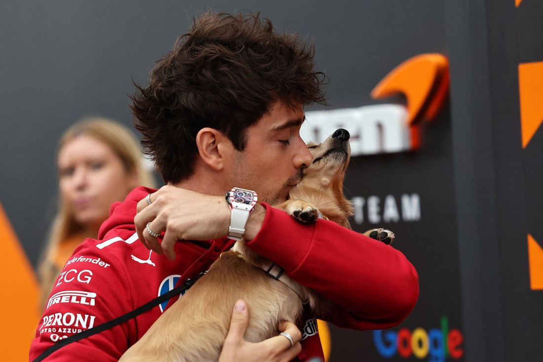 Charles Leclerc, Ferrari with his dog Leo