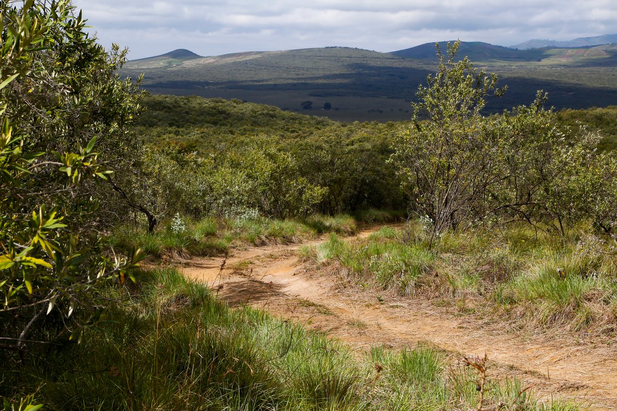 Atmosphere in Kenya