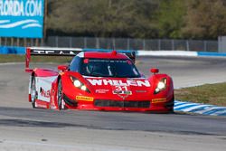 #31 Action Express Racing Corvette DP: Eric Curran, Dane Cameron, Scott Pruett