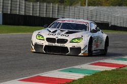 #50 BMW M6 GT3, BMW Team Italia: Alex Zanardi