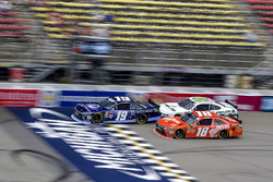Kyle Busch, Joe Gibbs Racing, Toyota Camry Maltesers