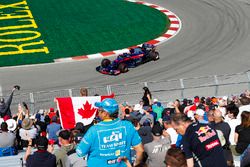 Brendon Hartley, Toro Rosso STR13