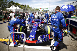 The Pierre Gasly Toro Rosso STR13 is attended to by mechanics on the grid