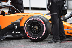 Stoffel Vandoorne, McLaren MCL33 front wheel