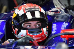 Пьер Гасли, Scuderia Toro Rosso STR12
