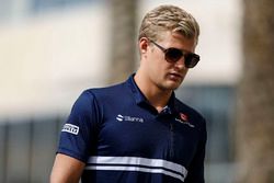 Маркус Эрикссон, Sauber